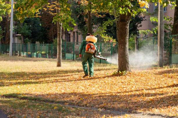Best Best Pest Control Companies  in South Williamsport, PA
